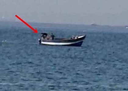 استنزاف الأسماك الصغيرة بخليج طنجة البحري