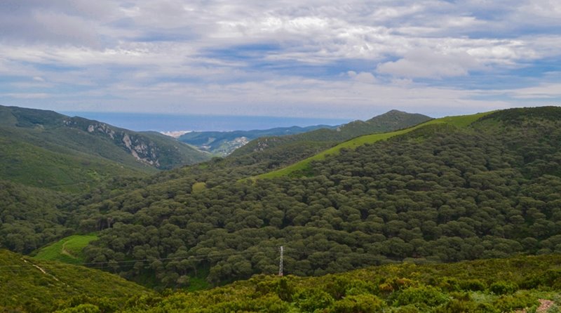 مع موجات حر مرتقبة.. المغرب يسارع لتعزيز الوقاية من الحرائق