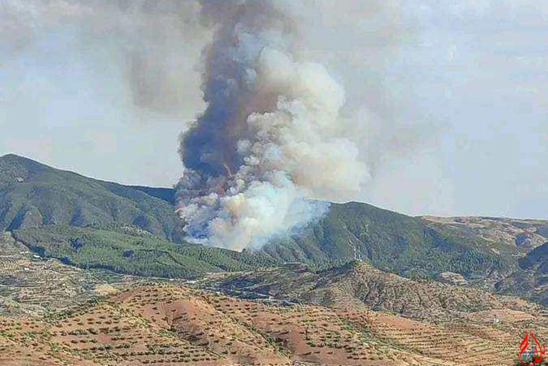 تازة.. اندلاع النيران في غابة شرشارة بجماعة بورد