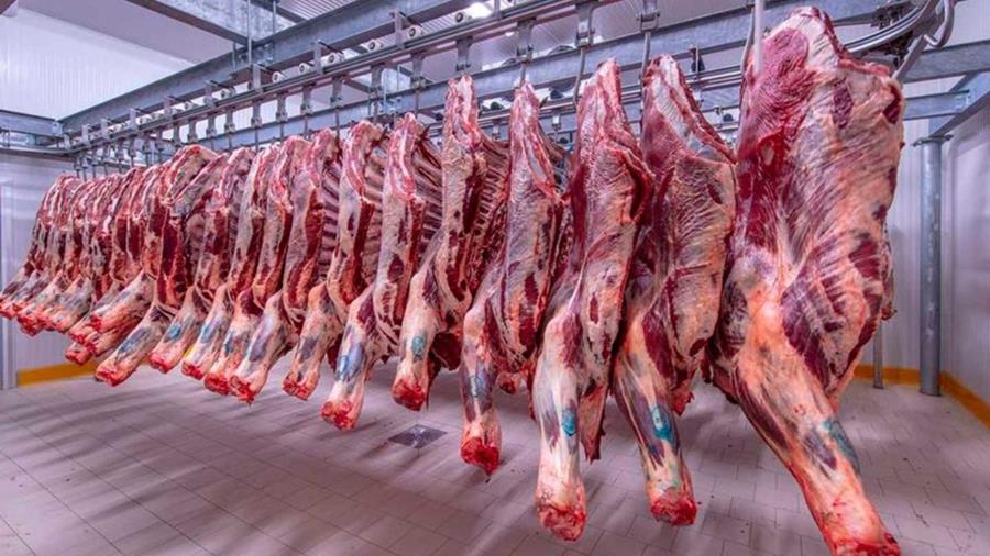 وزير.. التحكم في أسعار اللحوم الحمراء يمر عبر الحفاظ على القطيع وتوفير العرض