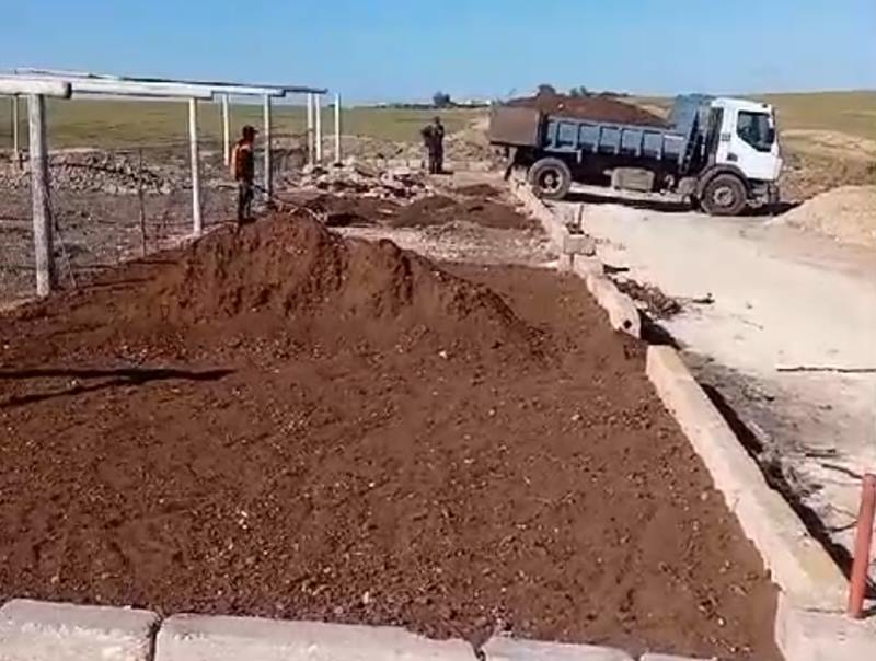 سطات.. رئيس جمعية يخرج عن صمته بخصوص توقيف مشروع بناء ملجأ لإيواء القطط والكلاب الضالة
