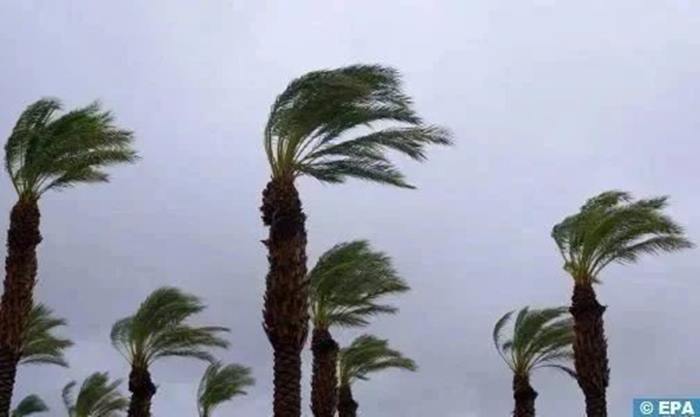 نشرة إنذارية.. هبات رياح قوية مع تطاير الغبار وتساقطات ثلجية مرتقبة بعدد من المناطق