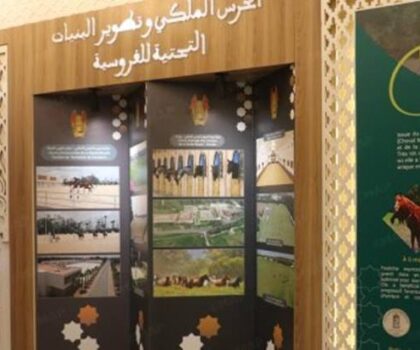 معرض الفرس بالجديدة.. الحرس الملكي نموذج للعناية بالفرس والحفاظ على تقاليد الفروسية