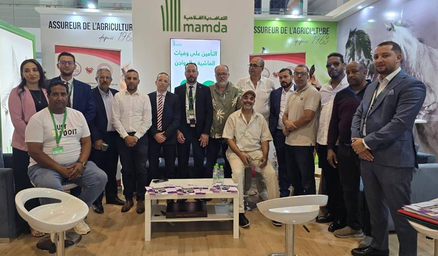 الجديدة.. توقيع اتفاقية شراكة بين الاتحاد العام للمقاولات والمهن وMCMA لتعزيز الحماية الاجتماعية للمهنيين