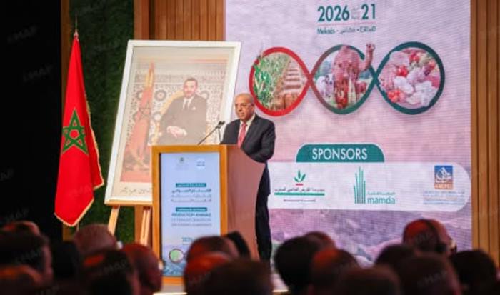 البوار.. موسم الفلاحي 2025-2026.. توقع بلوغ محصول الحبوب نحو 90 مليون قنطار