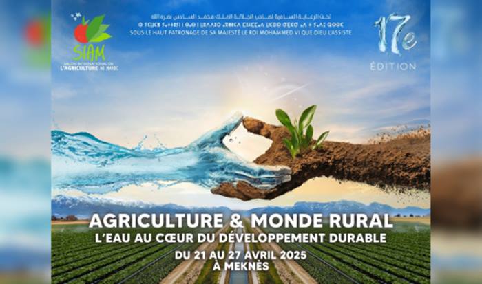 إدماج الاستدامة الغذائية في الاستراتيجيات القطاعية مفتاح تحول ناجح