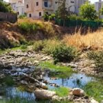 تازة.. ساكنة حي المسيرة 2 نطالب بالتدخل العاجل لوضع حد لمعاناتهم مع المياه العادمة