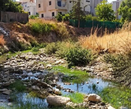 تازة.. ساكنة حي المسيرة 2 نطالب بالتدخل العاجل لوضع حد لمعاناتهم مع المياه العادمة