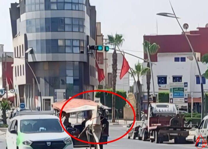 سيدي بنور.. خطر العربات المجرورة يعرقل السير ويشوه المنظر العام للمدينة