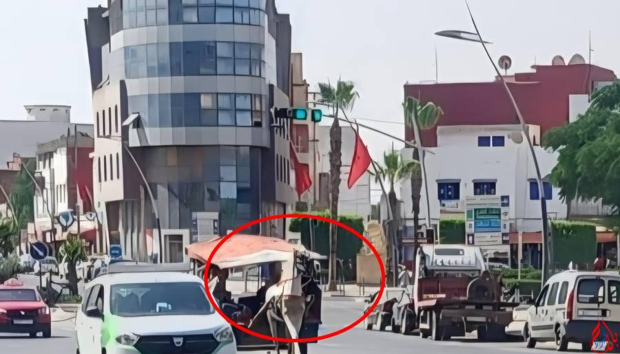 سيدي بنور.. خطر العربات المجرورة يعرقل السير ويشوه المنظر العام للمدينة