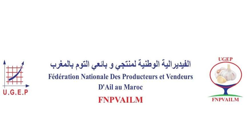 بعد نضال طويل لفدرالية منتجي الثوم بالمغرب.. استيراد الثوم أصبح يخضع للترخيص المسبق