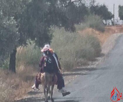 إقليم أزيلال.. أب يحمل أبناءه على حمار ليوصلهم من و إلى المدرسة تفتح ملف حصيلة برلمانييي المنطقة